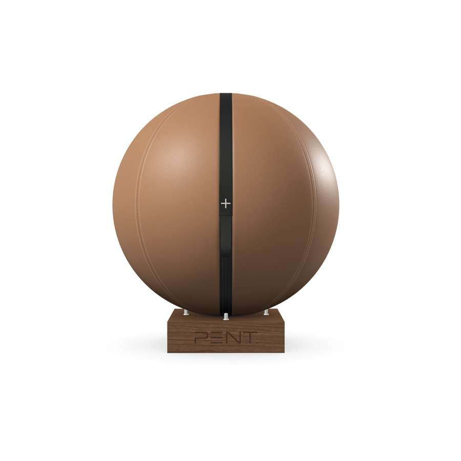 MESNA™ Fitness Ball Set