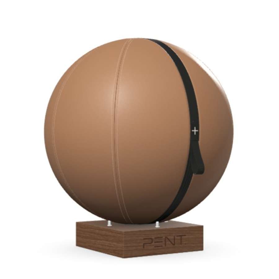 MESNA™ Fitness Ball Set