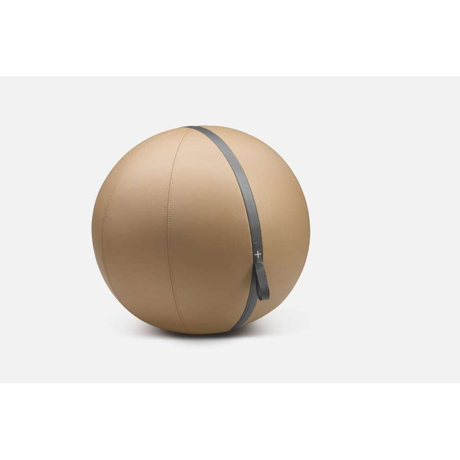 MESNA™ Fitness Ball Set