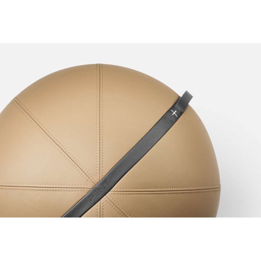 MESNA™ Fitness Ball Set