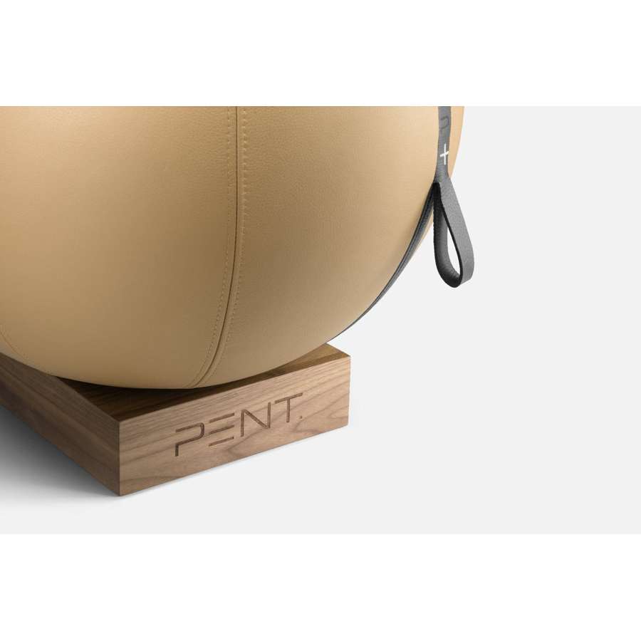 MESNA™ Fitness Ball Set