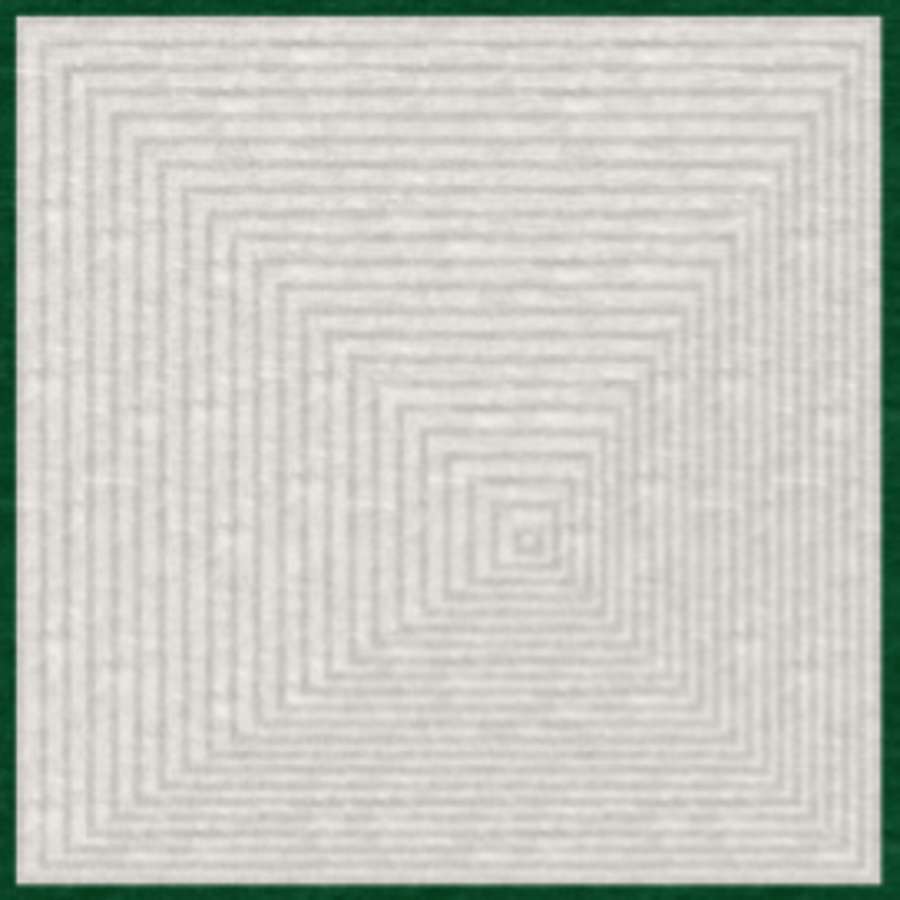 Patium Outdoor Collection Focus with Border Green Hand-Tufted Loop Pile Rug